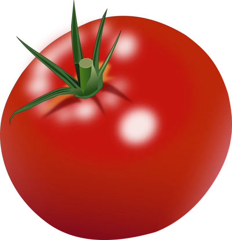 Tomato Ripe Red Stickdatei – Essen & Trinken