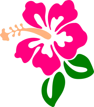 Hibiscus Flower wallpaper Flower background Stickdatei