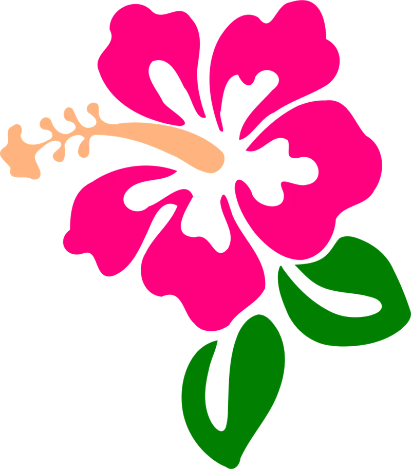 Hibiscus Flower wallpaper Flower background Stickdatei – Blumen