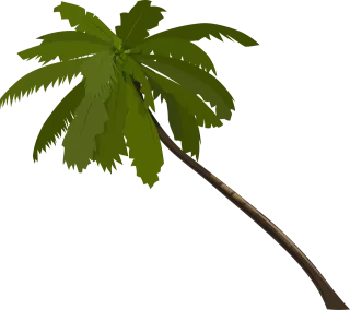 Palm Tree Fronds Stickdatei