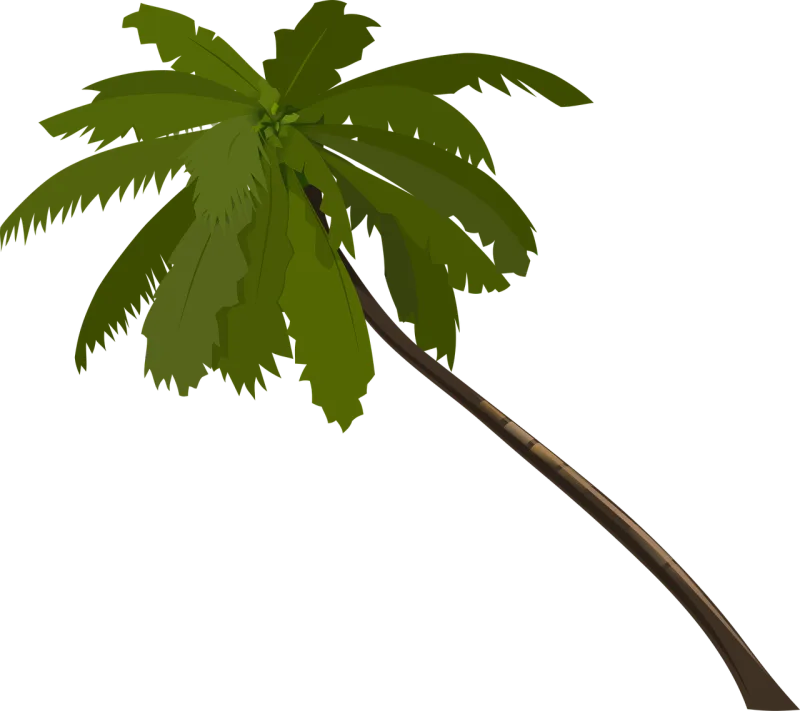 Palm Tree Fronds Stickdatei – Natur