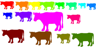 Cows Nature Herd Stickdatei