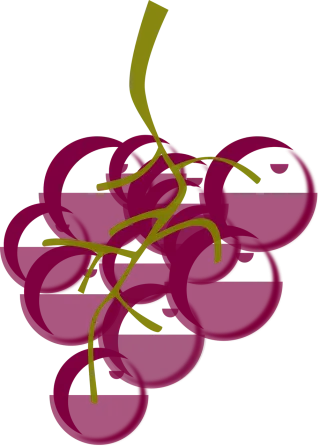 Grapes Berries Fruit Stickdatei