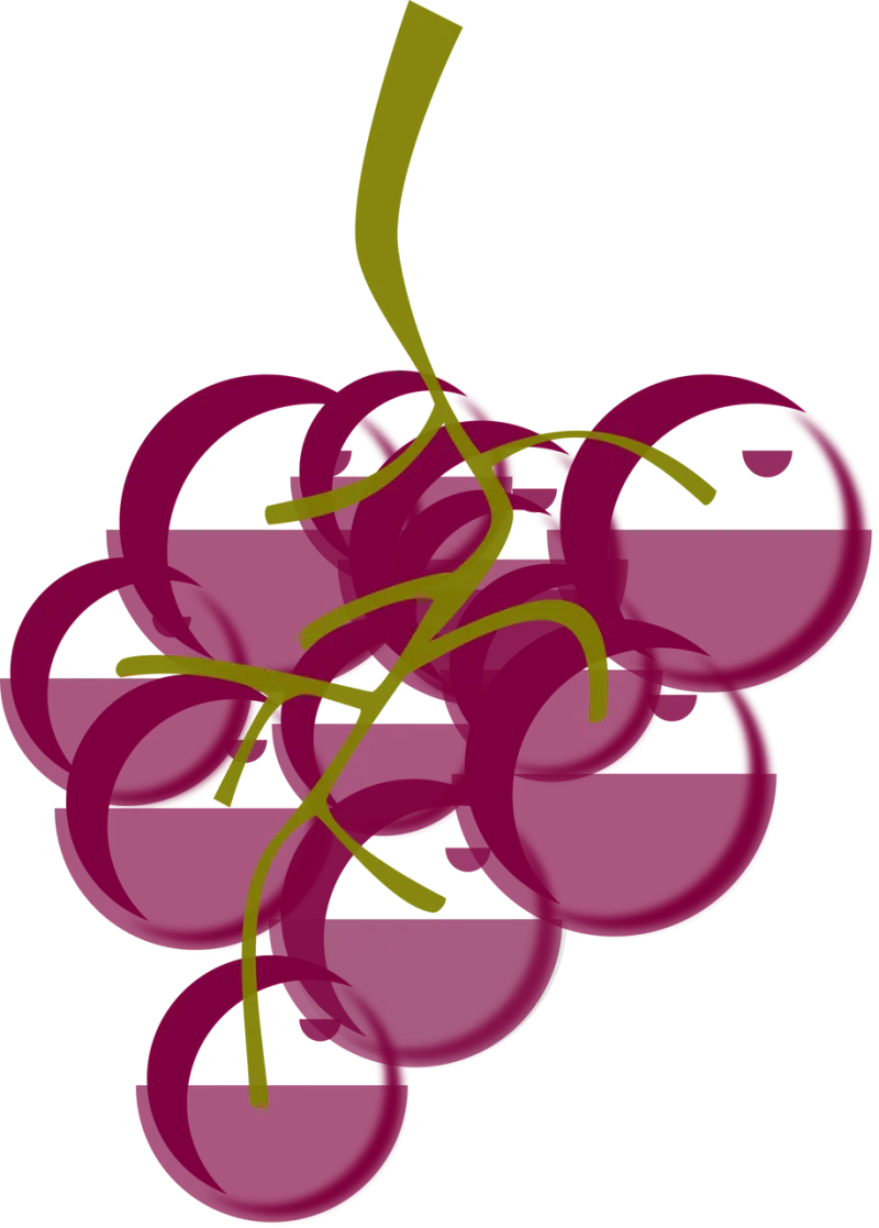Grapes Berries Fruit Stickdatei – Essen & Trinken