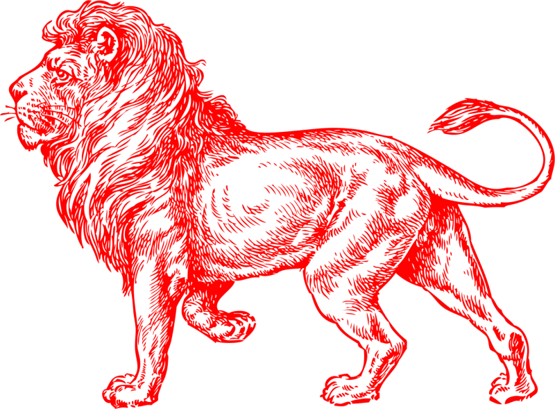 Lion Red Male Stickdatei – Tiere