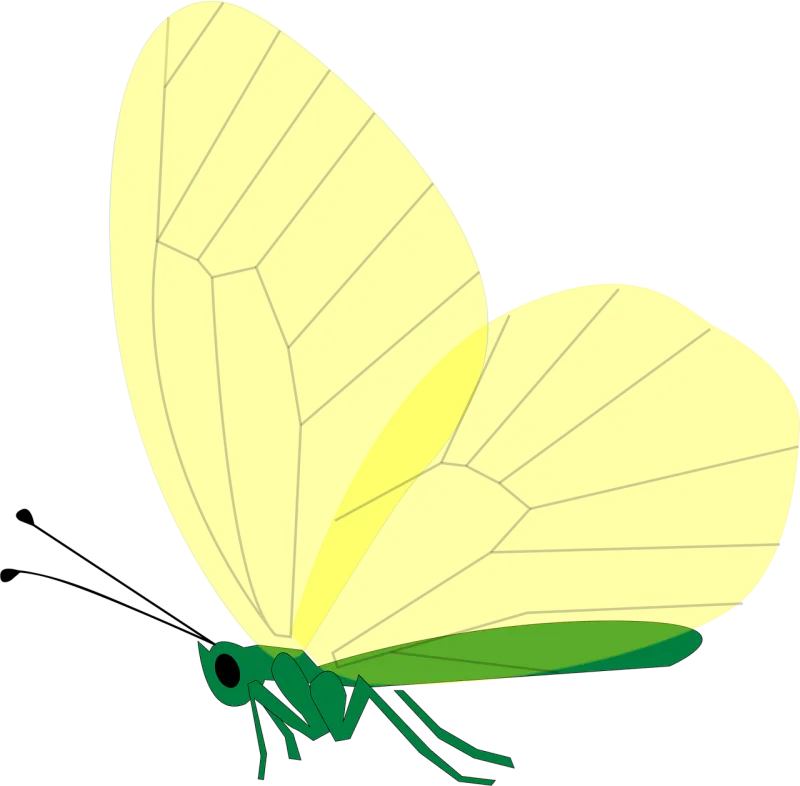 Butterfly Green Yellow Stickdatei – Tiere