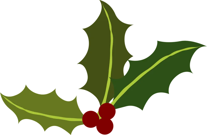 Green Nature Holly Stickdatei – Natur