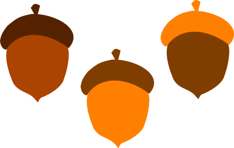 Acorn Brown Fall Stickdatei – Natur
