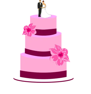 Cake Wedding Bride Stickdatei