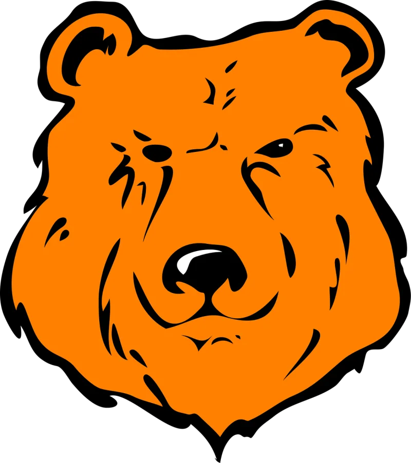 Orange Bear Animal Stickdatei – Tiere