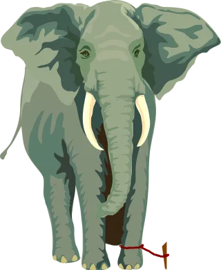 Elephant Rope Tied-up Stickdatei