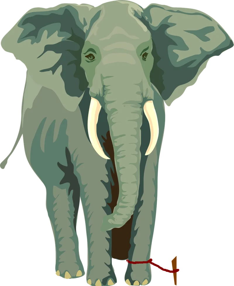 Elephant Rope Tied-up Stickdatei – Tiere
