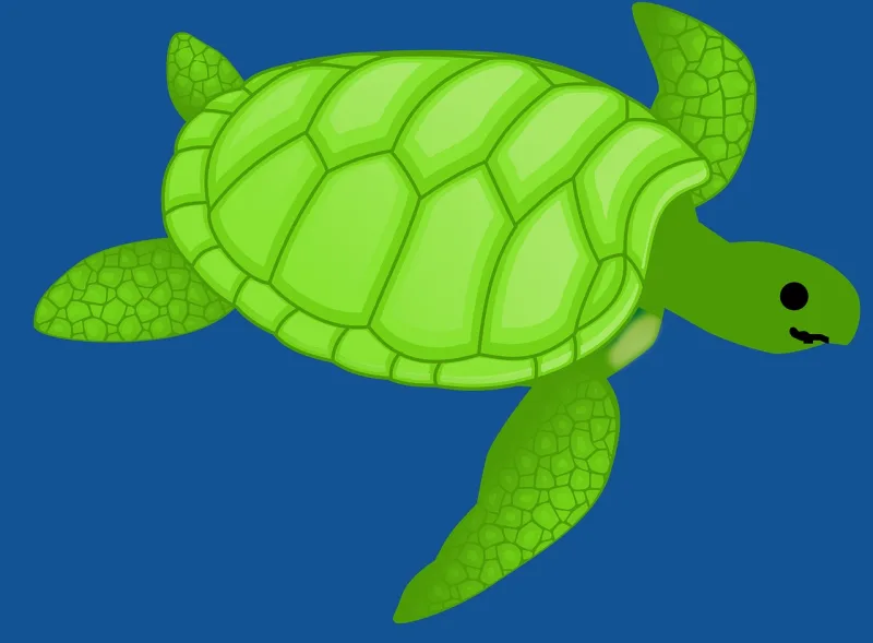 Turtle Green Nature Stickdatei – Sport