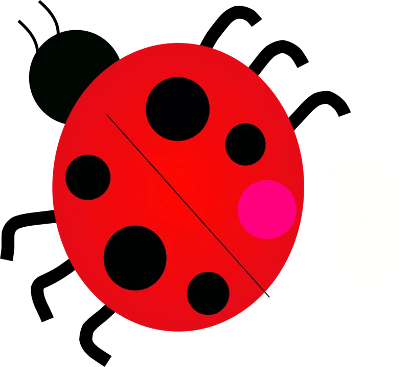 Junebug Ladybug Ladybird Stickdatei – Tiere