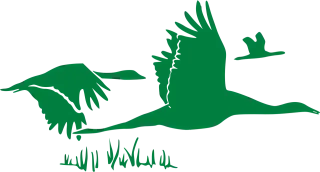 Geese Flock Flying Stickdatei