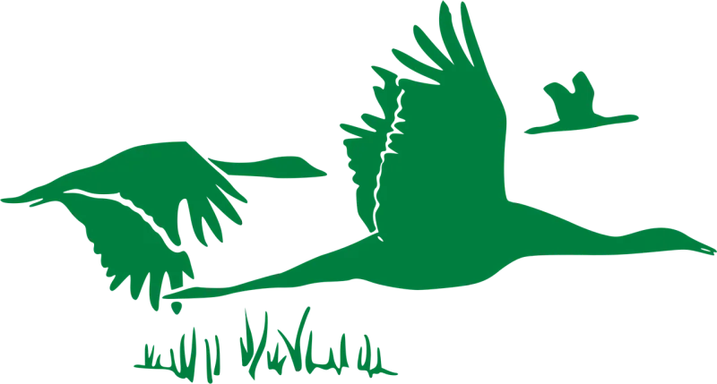 Geese Flock Flying Stickdatei – Tiere