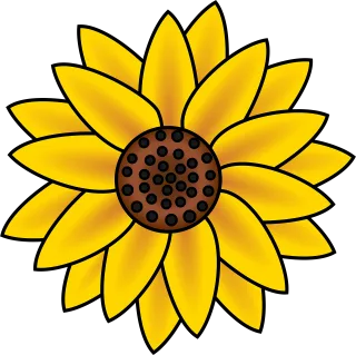 Sunflower Blossom Petals Stickdatei