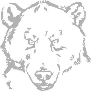 Bear Nature Grizzly Stickdatei – Tiere