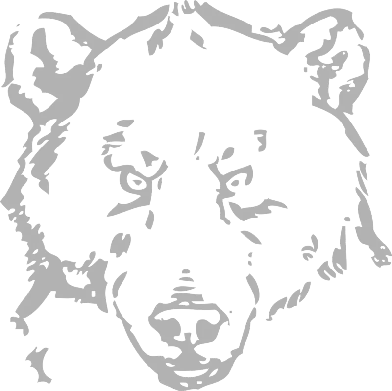 Bear Nature Grizzly Stickdatei – Tiere