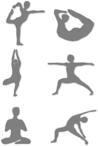 Yoga Poses Warrior pose Stickdatei