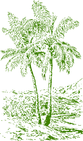 Palms Trees Tropics Stickdatei