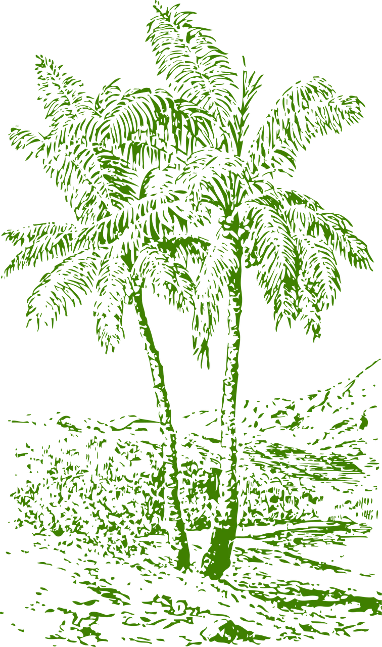 Palms Trees Tropics Stickdatei – Natur