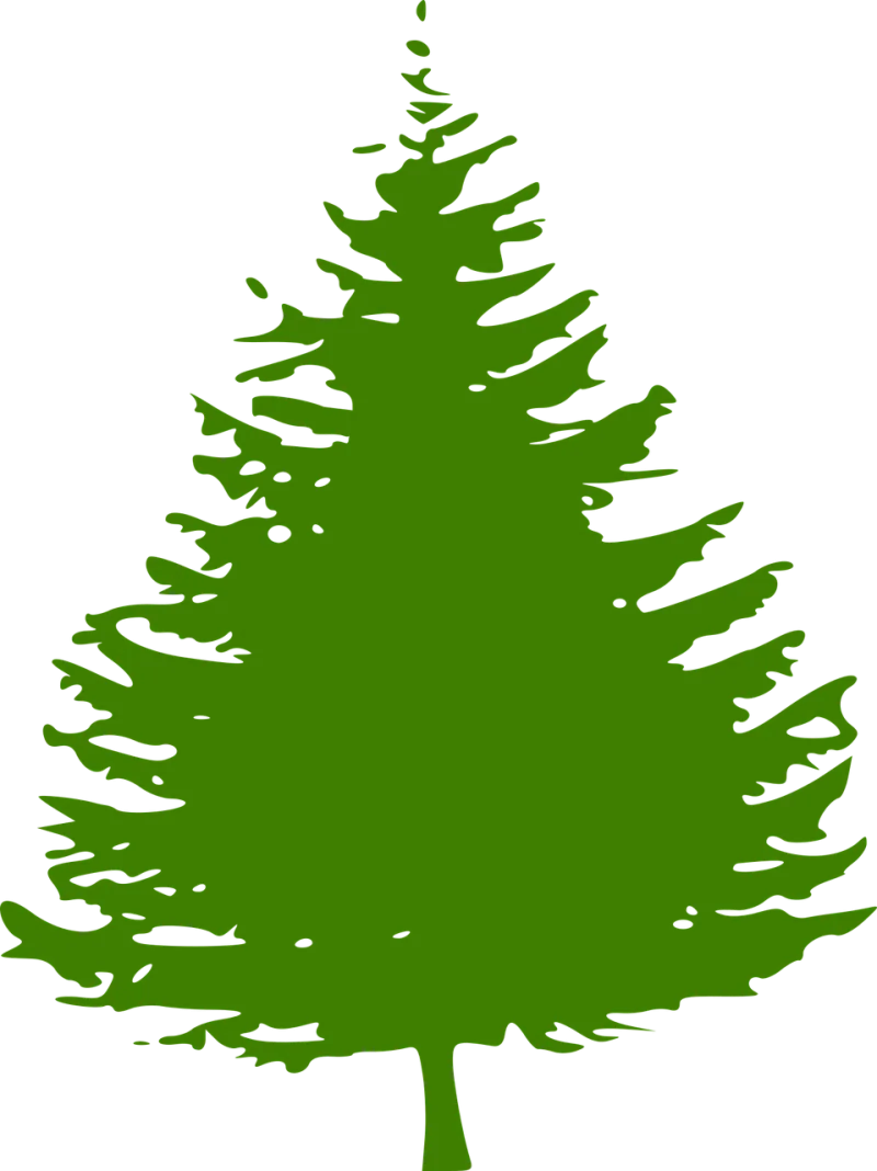 Pine Tree Christmas tree Stickdatei – Natur