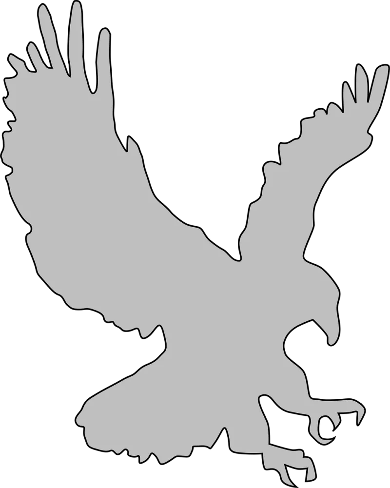 Eagle Landing Wings Stickdatei – Tiere