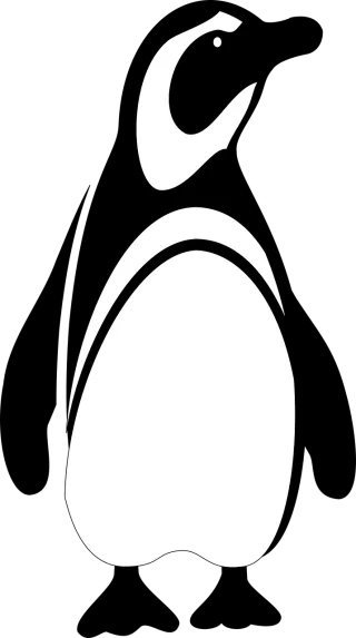 Penguin King penguin Nature Stickdatei