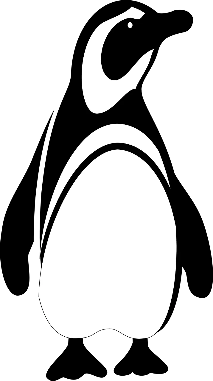 Penguin King penguin Nature Stickdatei – Tiere