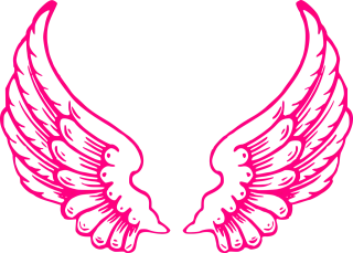 Wings Angel Feathers Stickdatei