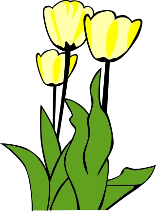 Tulips Beautiful flowers Flowers Stickdatei – Blumen