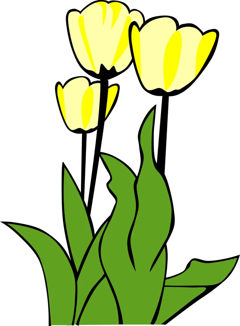 Tulips Beautiful flowers Flowers Stickdatei – Blumen