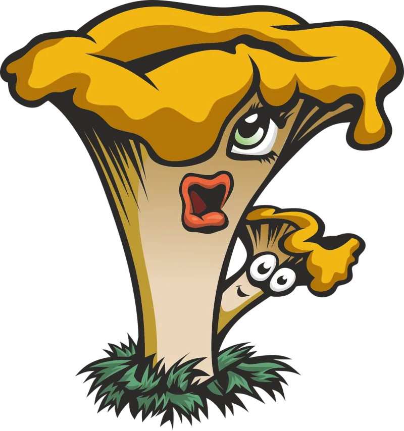 Vector Fungus Chanterelle Stickdatei – Natur