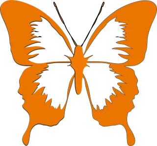Butterfly Insect Animal Stickdatei