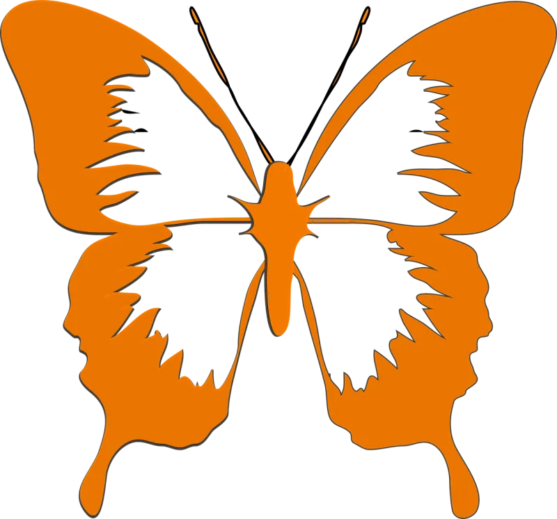 Butterfly Insect Animal Stickdatei – Tiere