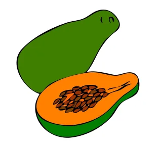 Papaya Fruit Open Stickdatei