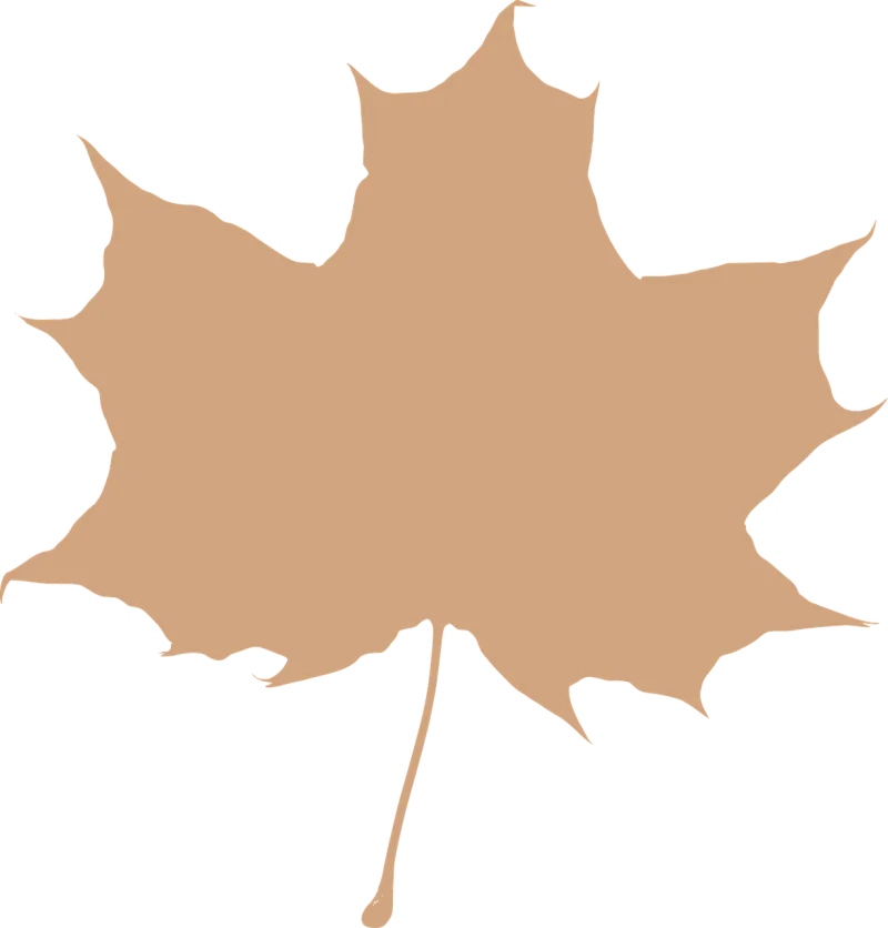 Maple leaf Beige Silhouette Stickdatei – Natur