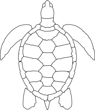 Turtle Nature Animal Stickdatei