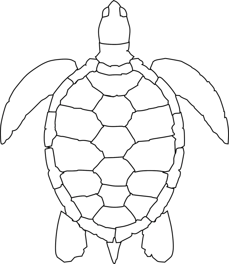 Turtle Nature Animal Stickdatei – Tiere