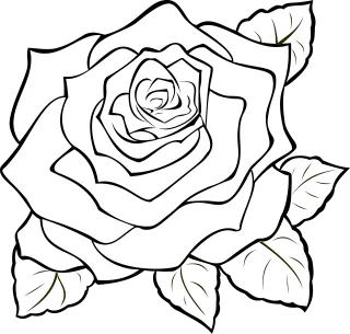 Rose Flower wallpaper Blossom Stickdatei