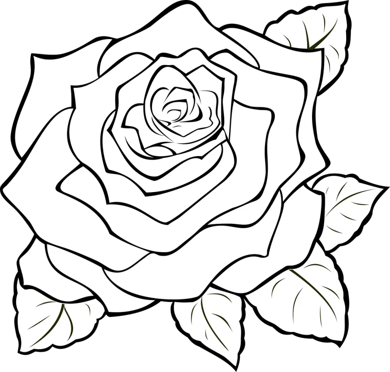 Rose Flower wallpaper Blossom Stickdatei – Blumen