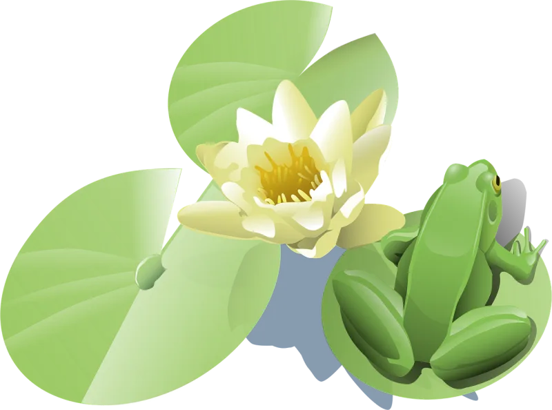 Lily Flower wallpaper Beautiful flowers Stickdatei – Blumen