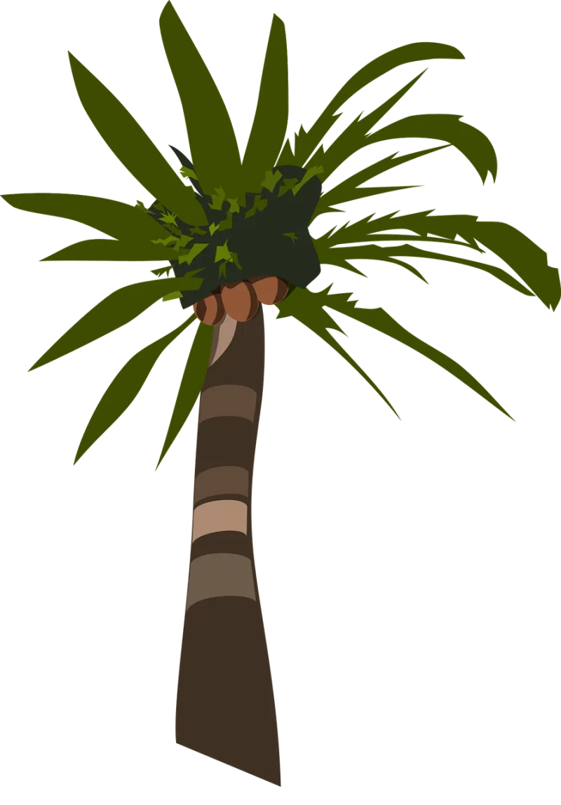 Palm Tree Plant Stickdatei – Natur
