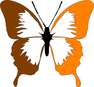Moth Butterfly Insect Stickdatei