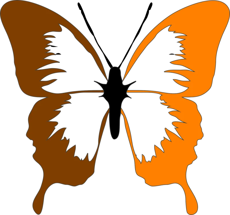 Moth Butterfly Insect Stickdatei – Tiere