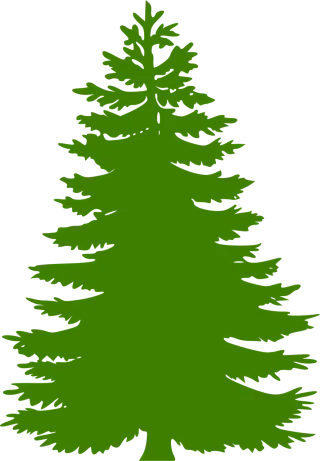 Tree Conifer Nature Stickdatei