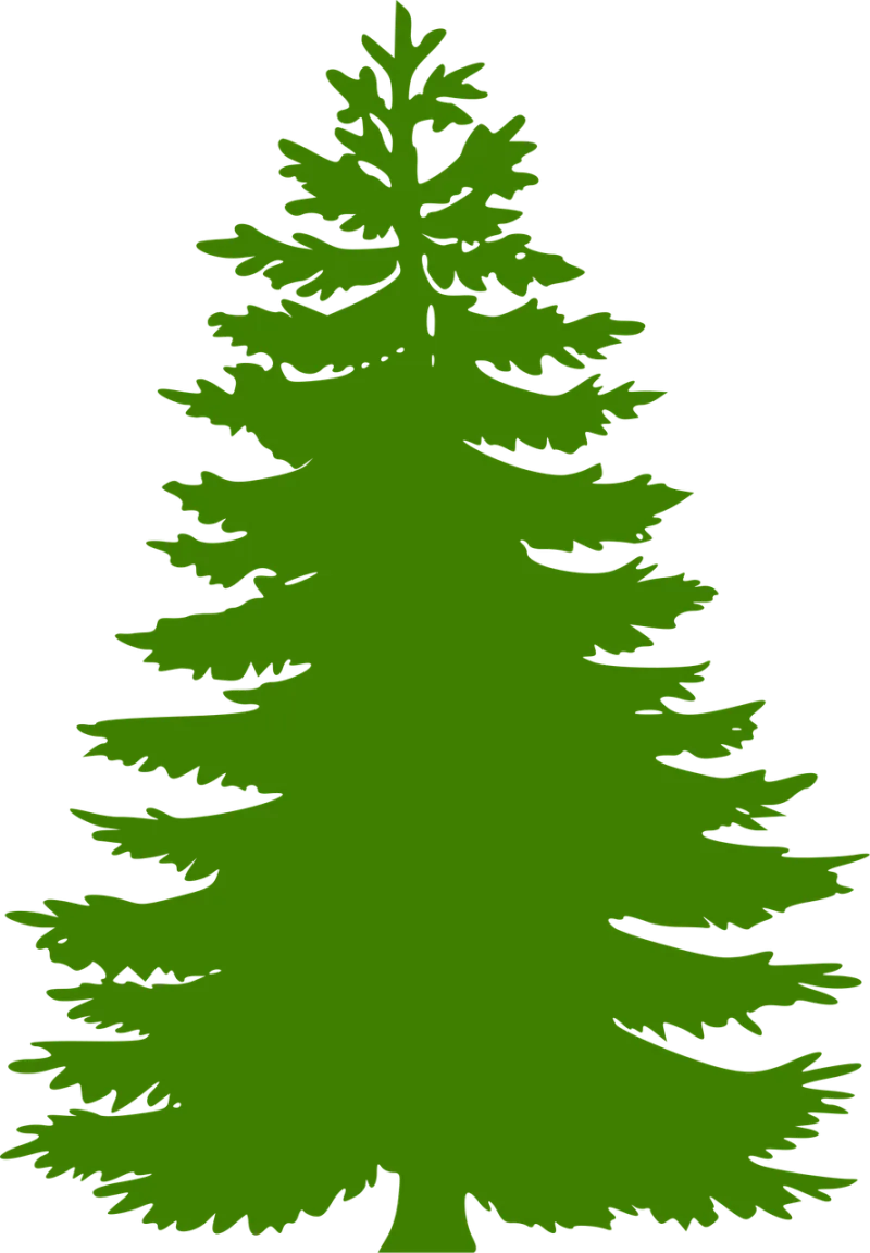 Tree Conifer Nature Stickdatei – Weihnachten