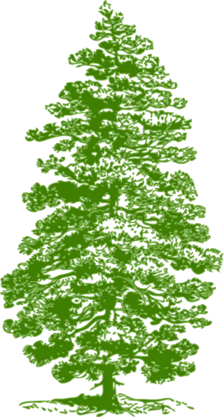 Tree Pine Nature Stickdatei – Weihnachten