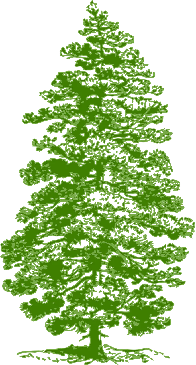 Tree Pine Nature Stickdatei – Weihnachten